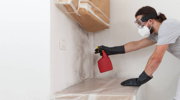 Professional Bathroom Mold Removal technician working in Orlando, FL
