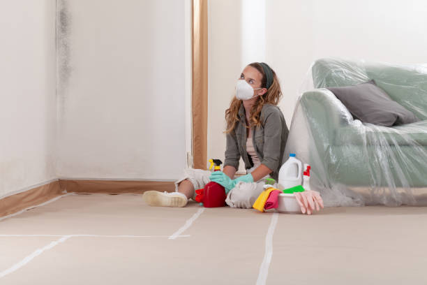 Reliable Bathroom Mold Removal contractor in Orlando, FL by Mold Remediation HQ